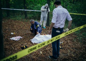 Sztuczna inteligencja pomoże określić czas zgonu dzięki analizie procesu rozkładu ciała