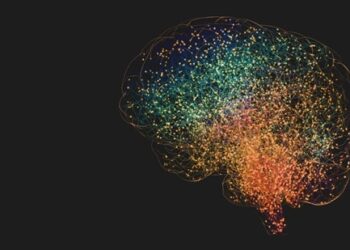 Zastosowanie połączeń mózgowych i uczenia maszynowego w pogłębianiu wiedzy o ludzkim umyśle