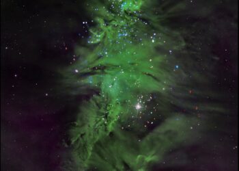 Zawieś lśniącą gwiazdę na najwyższej gałęzi