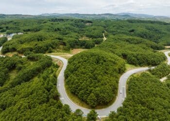 Zintegrowane podejście może jednocześnie wspierać ochronę przyrody, klimatu i zdrowia