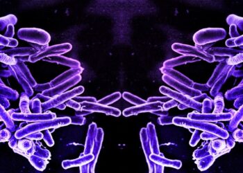 "Życie Lustrzane" to wciąż tylko hipoteza – oto, dlaczego lepiej, by tak pozostało.