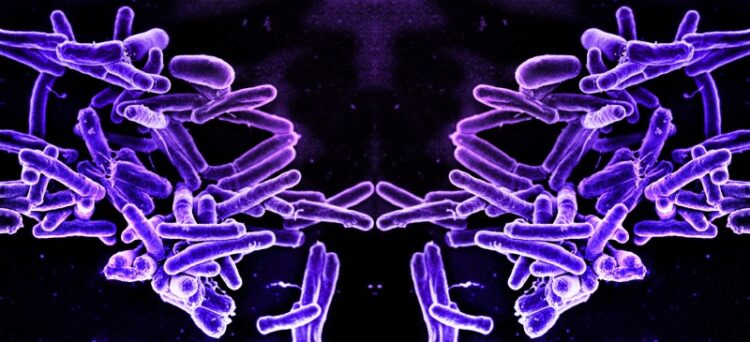 "Życie Lustrzane" to wciąż tylko hipoteza – oto, dlaczego lepiej, by tak pozostało.