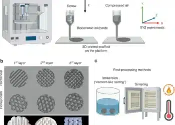 Drukowane w 3D przeszczepy kostne otwierają nowy rozdział w rekonstrukcji twarzy