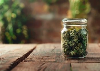 Globalny boom na marihuanę ujawnia nieoczekiwane zagrożenia dla zdrowia serca