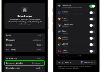 Jak ustawić domyślne aplikacje na iPhonie w iOS 18.2