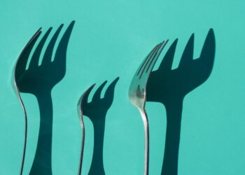 Losy Relicencjonowanych Projektów Open Source i Ich Forków