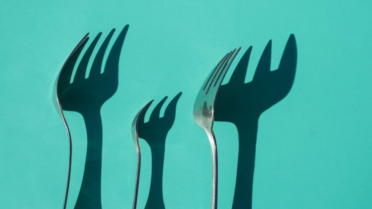 Losy Relicencjonowanych Projektów Open Source i Ich Forków