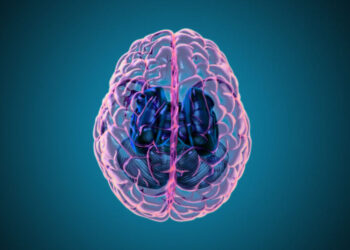 Naukowcy odkrywają nowe dowody na powiązanie demencji z systemem oczyszczania mózgu