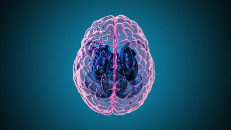 Naukowcy odkrywają nowe dowody na powiązanie demencji z systemem oczyszczania mózgu