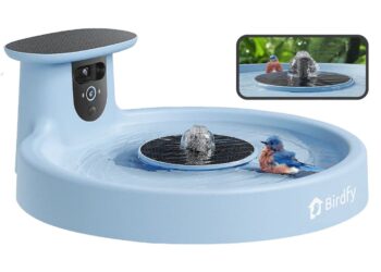 Nowe innowacje Birdfy ułatwiają obserwację ptaków w ogrodzie