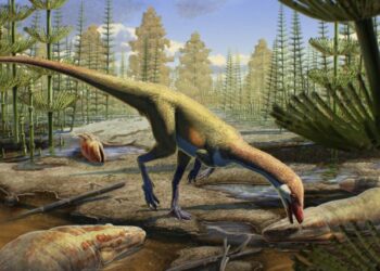 Odkrycie w Wyoming zmienia spojrzenie na historię dinozaurów w Ameryce Północnej
