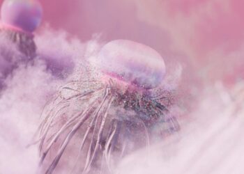 Powstanie uniwersalnych modeli sztucznej inteligencji obsługujących różne typy danych