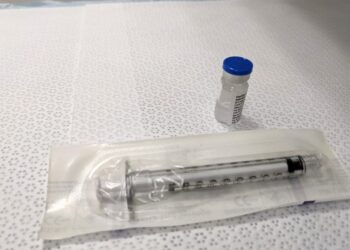 Pożyteczne bakterie mogą być kluczem do zapobiegania przybieraniu na wadze