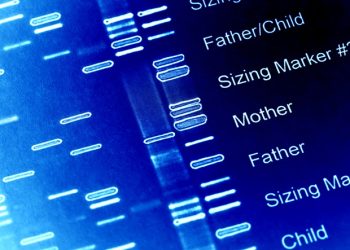Wpływ predyspozycji genetycznych na odczuwanie goryczy kawy przez różne osoby