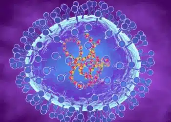 Wszystko, co musisz wiedzieć o HMPV – mało znanym wirusie oddechowym