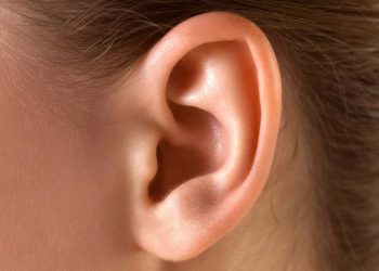 Zanikający mięsień poruszający uszami aktywuje się podczas słuchania