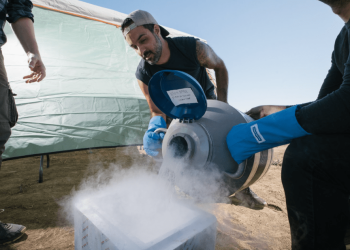 Google X tworzy nową firmę Heritable Agriculture, która wykorzystuje sztuczną inteligencję do zwiększania plonów rolnych
