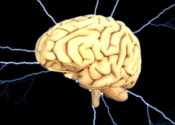 Kto Potrzebuje Sieci Neuronowych? Twórczy Potencjał Modeli Przejść Stanów