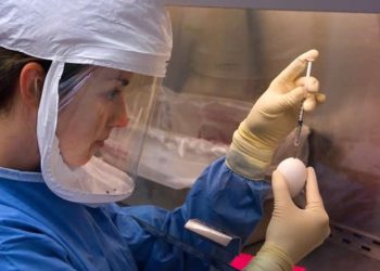 Pandemia COVID-19 a wzrost liczby pacjentów rezygnujących z pomocy na izbach przyjęć