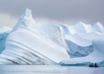 Projekt geoinżynieryjny w Arktyce zamknięty z powodu zagrożenia dla dzikiej przyrody
