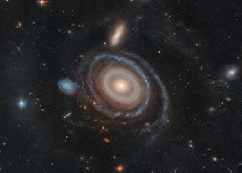 Strzał w dziesiątkę!