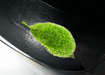 Twórcy Istio o błędach, których warto unikać w każdym projekcie