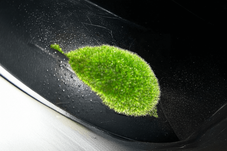 Twórcy Istio o błędach, których warto unikać w każdym projekcie