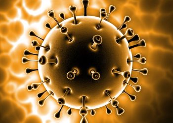 Zakażenie SARS-CoV-2 może przyspieszać rozwój blaszek miażdżycowych w tętnicach wieńcowych