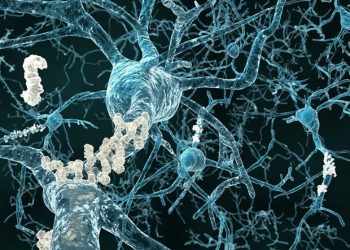 Celowanie w IL-12 może utorować drogę do nowych metod leczenia choroby Alzheimera