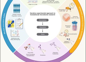 Czy odkrycia dotyczące mikrobiomu mogą stać się skutecznymi terapiami? Naukowcy wskazują kierunek