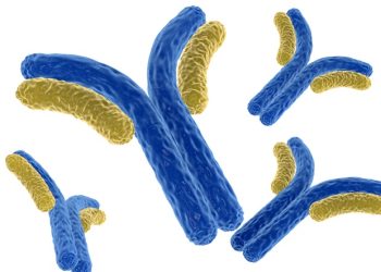 Harbour BioMed i Insilico łączą siły, aby przyspieszyć odkrywanie przeciwciał za pomocą sztucznej inteligencji