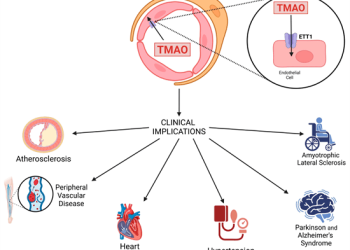 Jak ta cząsteczka łączy dietę z udarem i chorobą Alzheimera – i co możesz zrobić, by temu zapobiec
