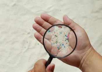 Proste zmiany w diecie, które mogą ograniczyć mikroplastiki w organizmie