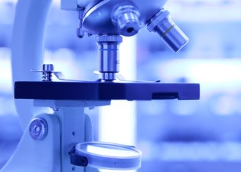 Przełomowe badania odkrywają sposób na utrzymanie metabolizmu podczas ograniczania kalorii