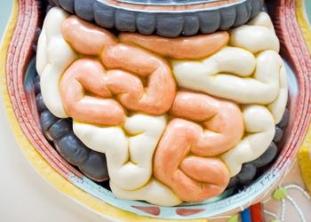 Sztuczna inteligencja równie skuteczna jak patolodzy w diagnozowaniu celiakii – wyniki badania