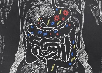 Terapia syntetycznym mikrobiomem daje nową nadzieję w walce z zakażeniami C. difficile