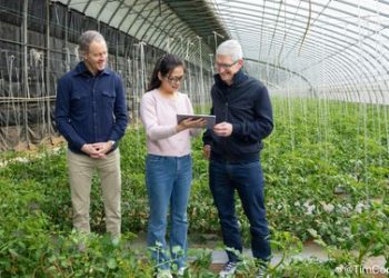 Tim Cook chwali chińskie modele sztucznej inteligencji DeepSeek w kontekście planów wprowadzenia Apple Intelligence na rynek chiński