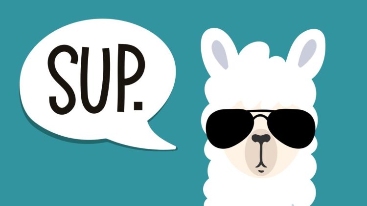 Meta ogłasza, że modele sztucznej inteligencji Llama zostały pobrane już 1,2 miliarda razy