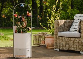 Nowoczesne urządzenia Bird Buddy pozwalają podglądać owady i wspierać lokalny ekosystem