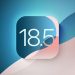 Pierwsza beta iOS 18.5 dostępna – co nowego w aktualizacji?