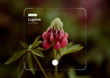 AllTrails wprowadza nowy plan za 80 dol. rocznie z inteligentnymi trasami opartymi na sztucznej inteligencji