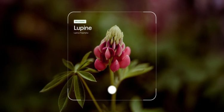 AllTrails wprowadza nowy plan za 80 dol. rocznie z inteligentnymi trasami opartymi na sztucznej inteligencji