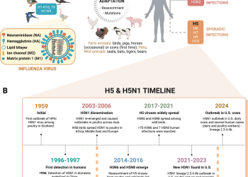 Dlaczego wirus H5N1 może wywołać pandemię i jak możemy temu zapobiec