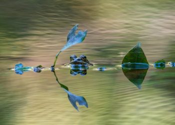 Jak modele AI oparte na dyfuzji przyspieszają proces rozumowania dużych modeli językowych