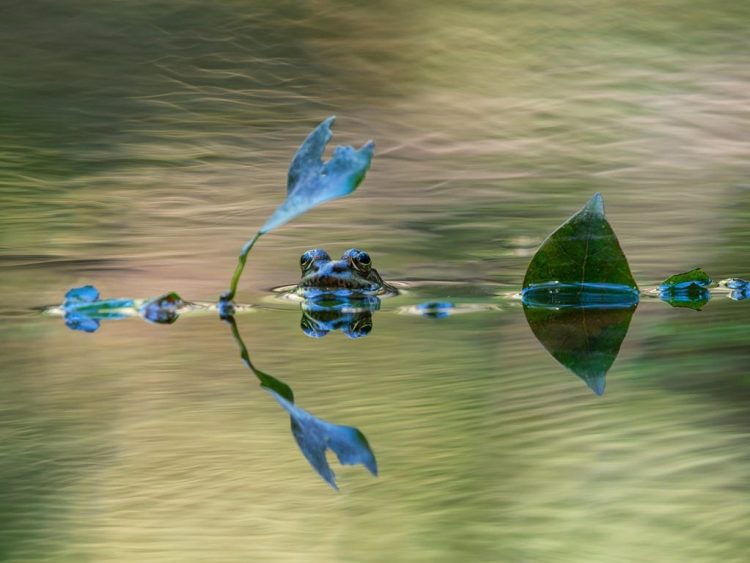 Jak modele AI oparte na dyfuzji przyspieszają proces rozumowania dużych modeli językowych