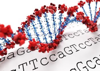 Odmiany genetyczne w zespole Pradera-Williego pomagają lepiej zrozumieć autyzm i psychozę