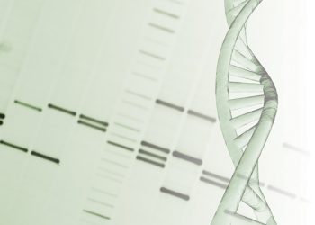 Przełom w edycji DNA bakterii Lactobacillus otwiera drogę do bezpieczniejszych probiotyków