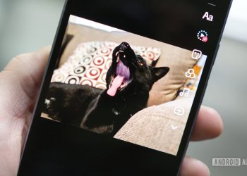 Przetestowałem nowe narzędzie AI na TikToku — teraz mój kot ma dwie głowy. Pomocy!