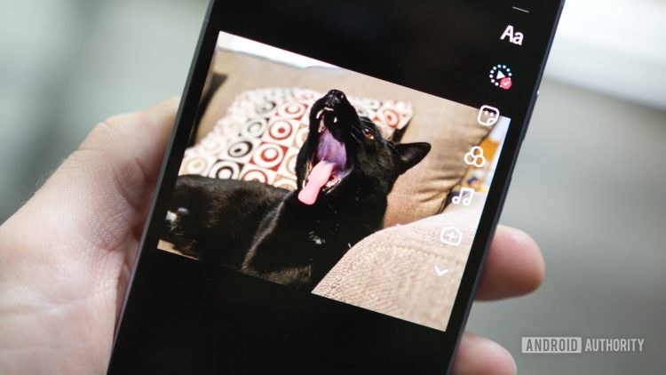 Przetestowałem nowe narzędzie AI na TikToku — teraz mój kot ma dwie głowy. Pomocy!