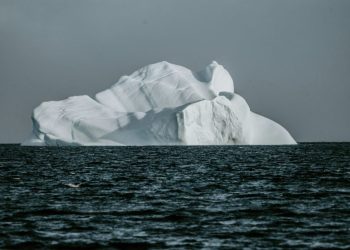 Ruch Otwartych Formatów nabiera tempa – Snowflake wspiera Apache Iceberg